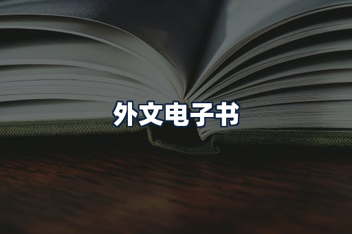 外文电子书